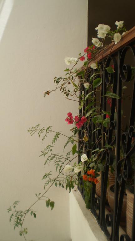 Dar Darek Hotel Essaouira Ngoại thất bức ảnh