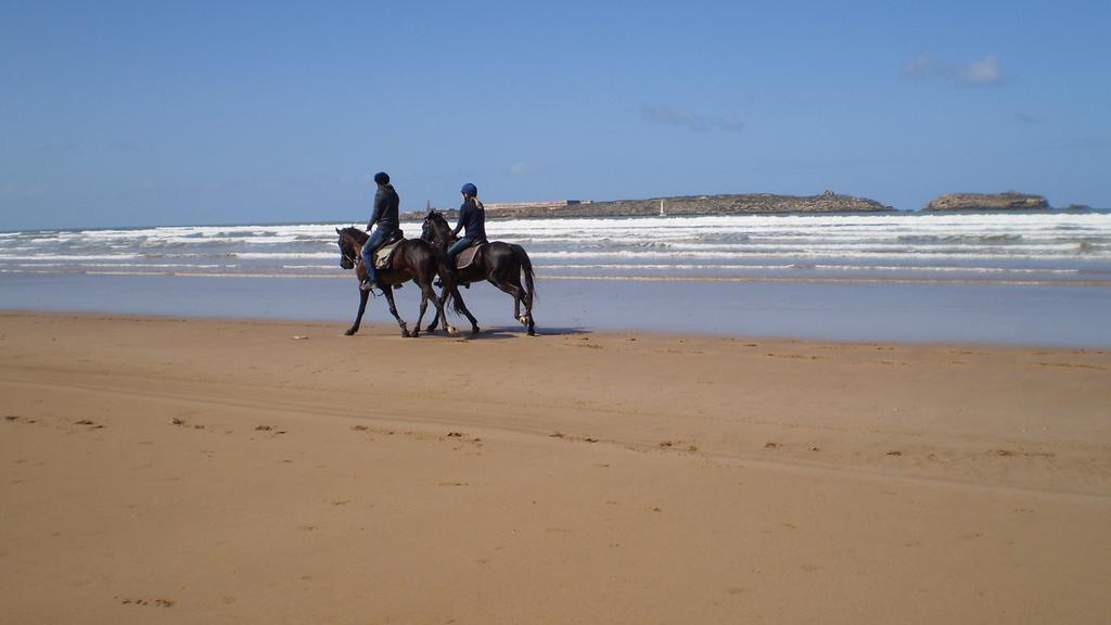 Dar Darek Hotel Essaouira Ngoại thất bức ảnh